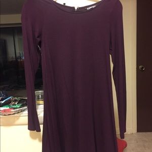 Plum Long Sleeve Express Dress